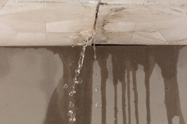 Professional Burst Pipe Cleanup technician working in Babcock, WI
